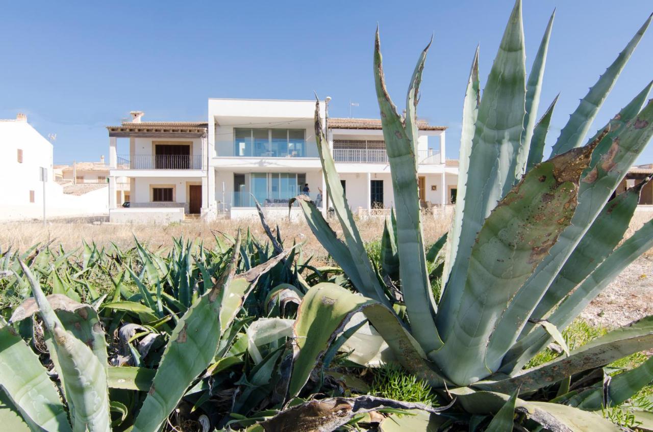 Apartamento S' Estanyol Mar El Estanyol エクステリア 写真